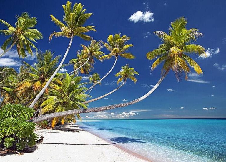 découvrez les plus belles plages du monde, des eaux turquoise, des sables blancs immaculés et des paysages paradisiaques pour des vacances de rêve.